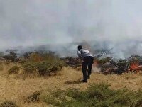 آتش سوزی در۶ هکتار از مراتع تیران و کرون