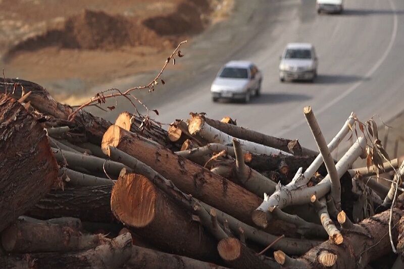 کشف سه تُن چوب قاچاق در بوکان