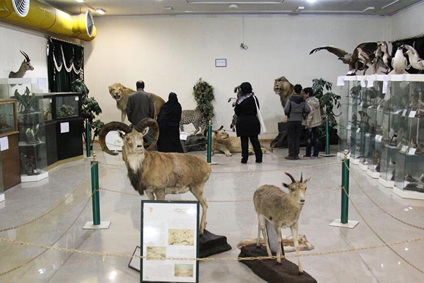 بازدید رایگان از موزه تاریخ طبیعی اردبیل به مناسبت روز زمین پاک