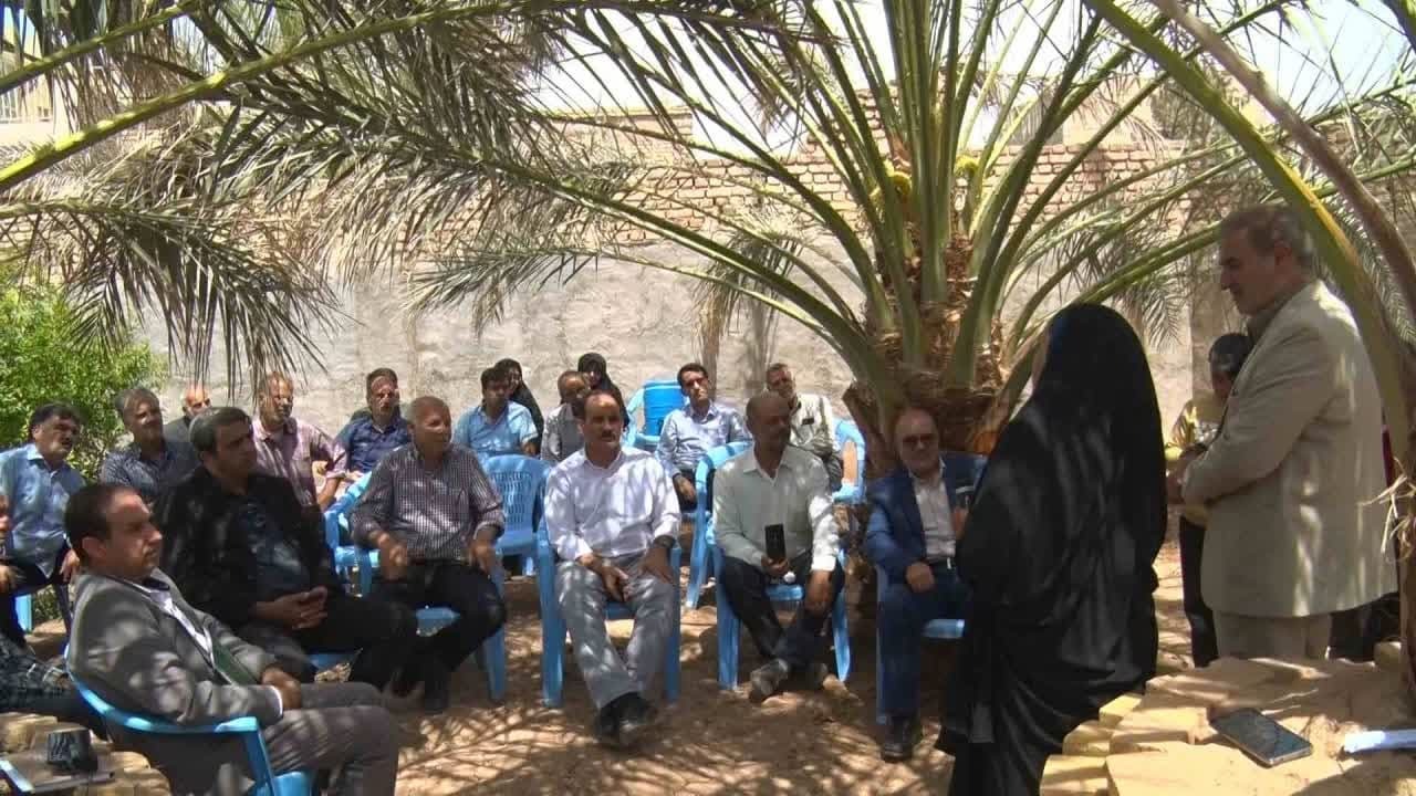 آموزش باغداران خرما در میبد و اردکان برای مبارزه با آفت سوک حنایی و عارضه خشکیدگی
