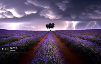 قلم دوربین/ ۱۸ خرداد ۱۴۰۴/بسته خارجی/۲