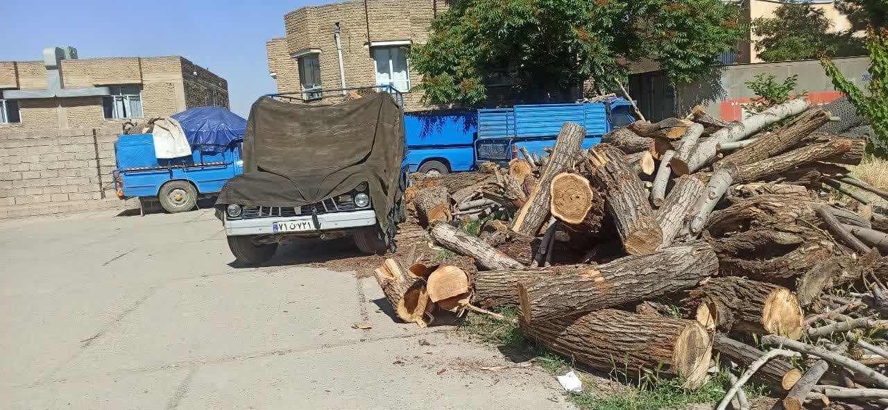 توقیف شش تُن چوب قاچاق در بوکان توقیف شش تُن چوب قاچاق در بوکان