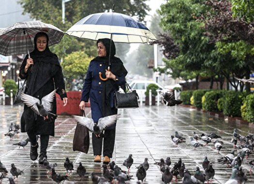 رگبار باران در نوار شمالی و جنوب‌شرق کشور