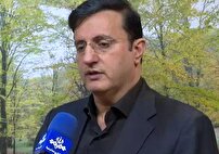 شناسایی اراضی برای تولید چوب در سراسر کشور
