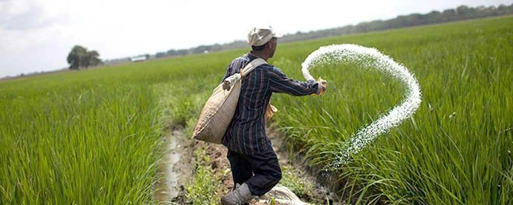 توزیع ۲۵هزار تن کود شیمیایی بین زارعان آذربایجان غربی