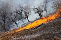 مهار آتش‌سوزی در عرصه منابع طبیعی چهارقاش ایذه