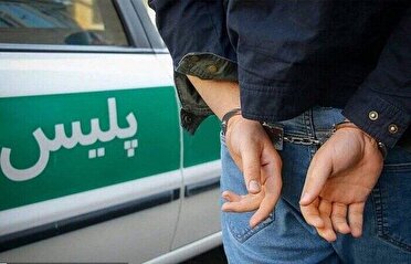 دستگیری گروه سارقان فرا استانی در کرمان