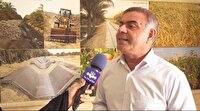 پژمردگی خوشه خرما عارضه‌ای در مراحل انتهایی تولید خرما