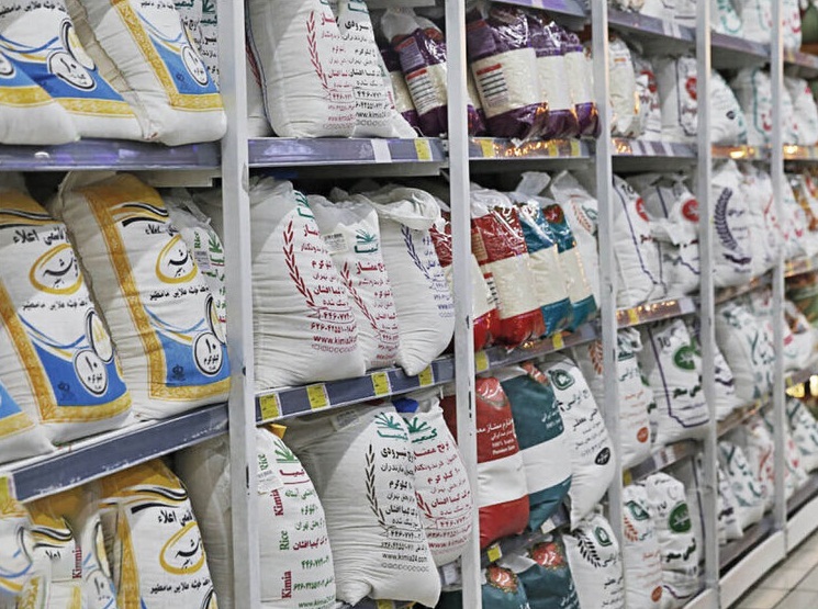 مسئله برنج روی میز نمایندگان مجلس و وزرا