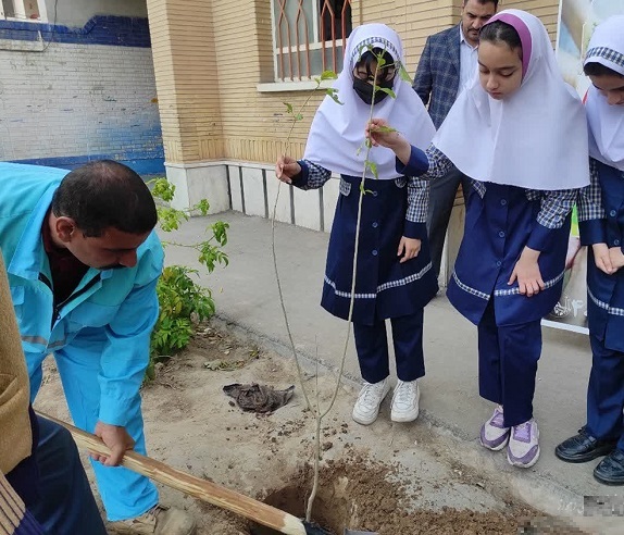 آغاز پویش نهالکاری پائیزه در مهرماه آغاز پویش نهالکاری پائیزه در مهرماه