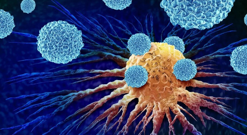 نانورسانگرهای گرافنی، دارو را به قلب تومور میرسانند نانورسانگرهای گرافنی، دارو را به قلب تومور میرسانند