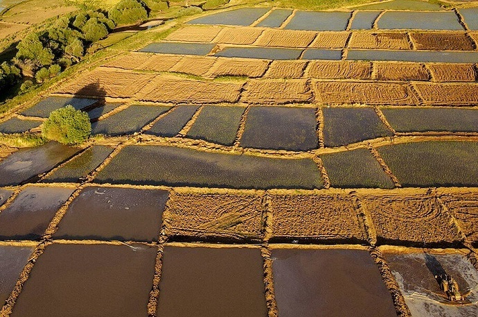 اجرای کشاورزی حفاظتی در مناطق درگیر کم آبی اجرای کشاورزی حفاظتی در مناطق درگیر کم آبی