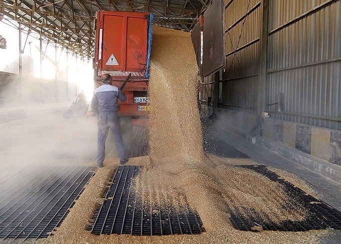 مطالبات گندمکاران را جهادی پرداخت کنید مطالبات گندمکاران را جهادی پرداخت کنید