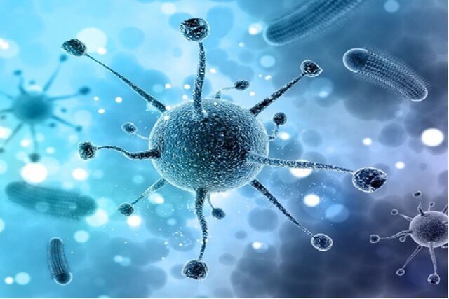 تولید نخستین ویروس آنکولایتیک مهندسی‌شده در ایران برای درمان سرطان گلیوبلاستوما