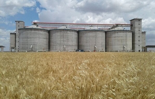 نرخ پیشنهادی گندمکاران روی میز شورای قیمتگذاری نرخ پیشنهادی گندمکاران روی میز شورای قیمتگذاری