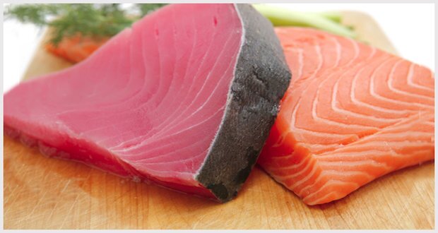 آغاز ثبت سفارش ماهی تن آغاز ثبت سفارش ماهی تن