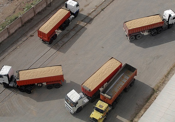 ** واریز مطالبات باقیمانده گندمکاران ** واریز مطالبات باقیمانده گندمکاران