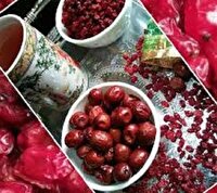 عرضه زرشک و عناب خراسان جنوبی در بورس