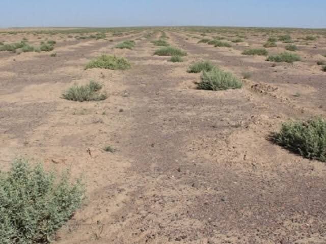 تشکیل چهار کانون ریزگرد و گردو غبار در حاشیه دریاچه ارومیه تشکیل چهار کانون ریزگرد و گردو غبار در حاشیه دریاچه ارومیه