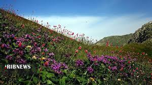 وجود ۶۰۰ گونه گیاهی و جانوری در خراسانشمالی وجود ۶۰۰ گونه گیاهی و جانوری در خراسانشمالی