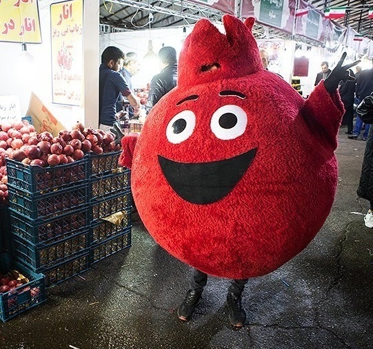 جشنواره انار در خانوک زرند جشنواره انار در خانوک زرند