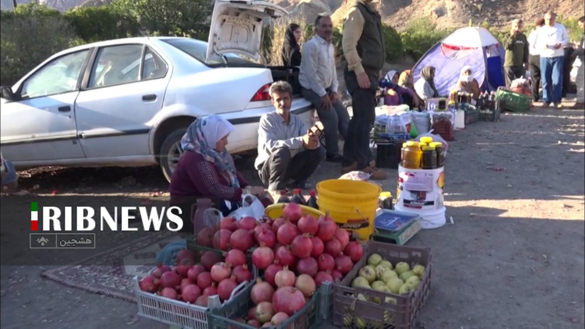 تولید سالانه ۶۰۰ تن انار در روستای نمهیل خلخال تولید سالانه ۶۰۰ تن انار در روستای نمهیل خلخال
