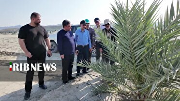 رایزنی استاندار برای فعالیت هلدینگ های سرمایه گذاری در اردبیل