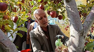 پلاک کوبی پنج هزار درخت برای زکات در آذربایجان شرقی