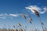 آسمان استان همدان تا آخر هفته صاف تا قسمتی ابری همراه با وزش باد ملایم