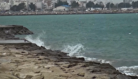 خلیج فارس همچنان مواج و متلاطم