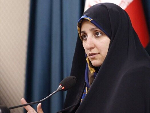 استفاده از ظرفیت مجلس برای تصویب لایحه تأمین امنیت زنان در برابر خشونت