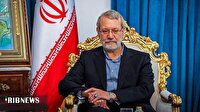 وزیر کشور پاکستان فردا با علی لاریجانی دیدار می‌کند