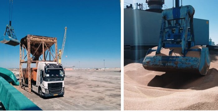 آغاز تخلیه محموله گندم وارداتی در بندر بوشهر آغاز تخلیه محموله گندم وارداتی در بندر بوشهر