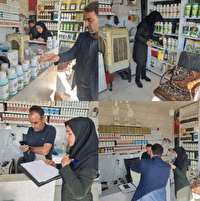 اجرای رزمایش پایش  داروخانههای گیاهپزشکی ارومیه