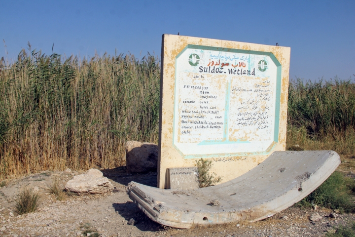 تالاب سولدوز نقده با ۲ میلیون مترمکعب آب احیا شد تالاب سولدوز نقده با ۲ میلیون مترمکعب آب احیا شد