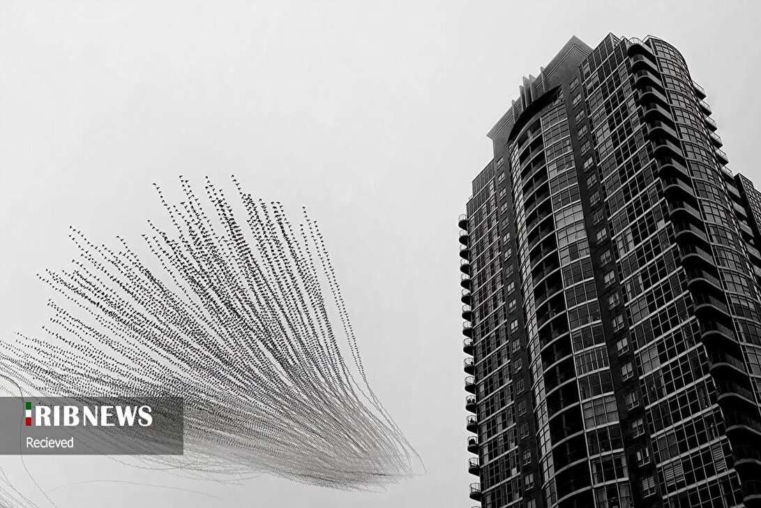 برترین عکس‌های طبیعت در سال ۲۰۲۵