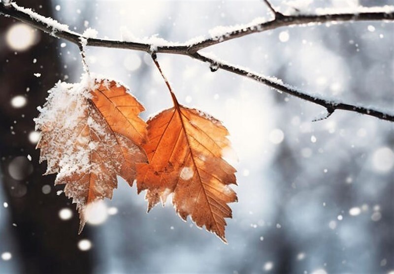 سلام طبیعت ارومیه به نخستین برف پاییزی سلام طبیعت ارومیه به نخستین برف پاییزی