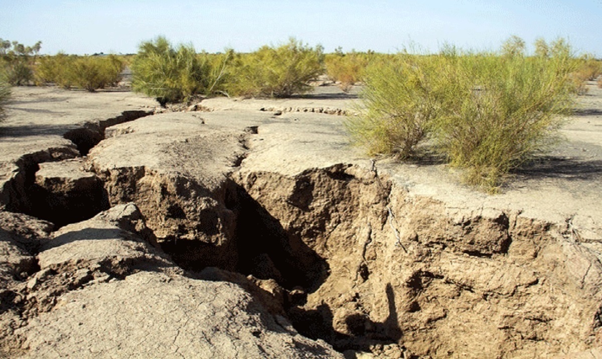 خاک سالم؛ پایه پایداری شهرها و کیفیت زندگی خاک سالم؛ پایه پایداری شهرها و کیفیت زندگی