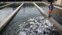 آبزی‌پروری در گیلان هوشمند سازی می‌شود