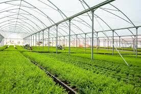 هشدار جهاد کشاورزی برای گلخانه‌داران آذربایجان‌غربی