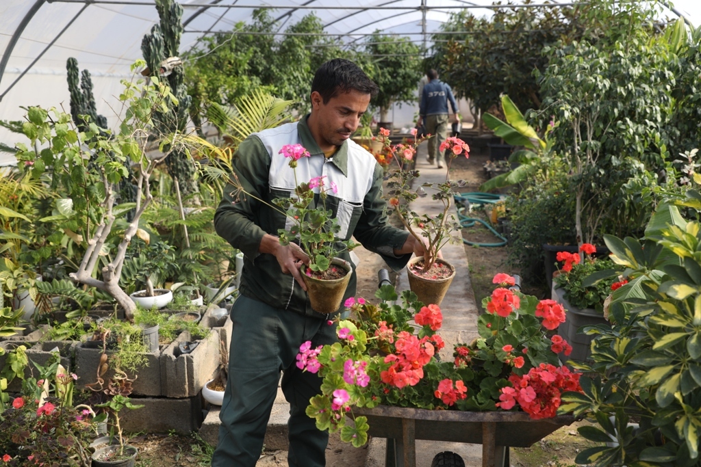 گلخانه شهرداری یزد به خودکفایی رسید