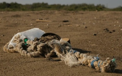 همکاری شیلات با فائو برای مدیریت پسماندهای دریا همکاری شیلات با فائو برای مدیریت پسماندهای دریا