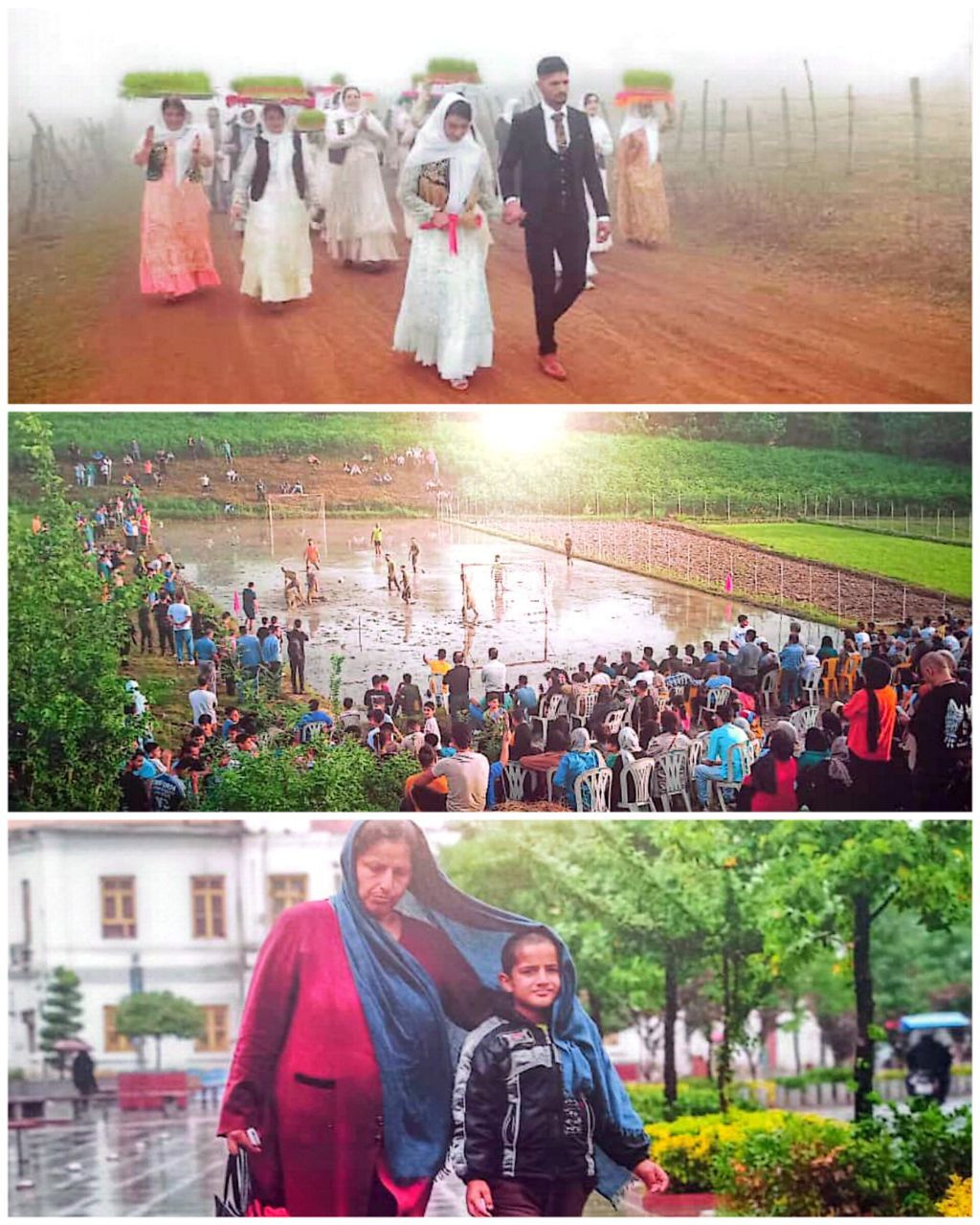 درخشش عکاسان گیلانی در جشنواره بینالمللی ایران جوان درخشش عکاسان گیلانی در جشنواره بینالمللی ایران جوان