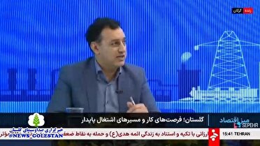 هماهنگی بین دستگاه ها کلید تحقق تسهیلات مشاغل خانگی در گلستان