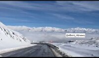 تصویر زیبایی از بارش برف در شب گذشته در استان البرز