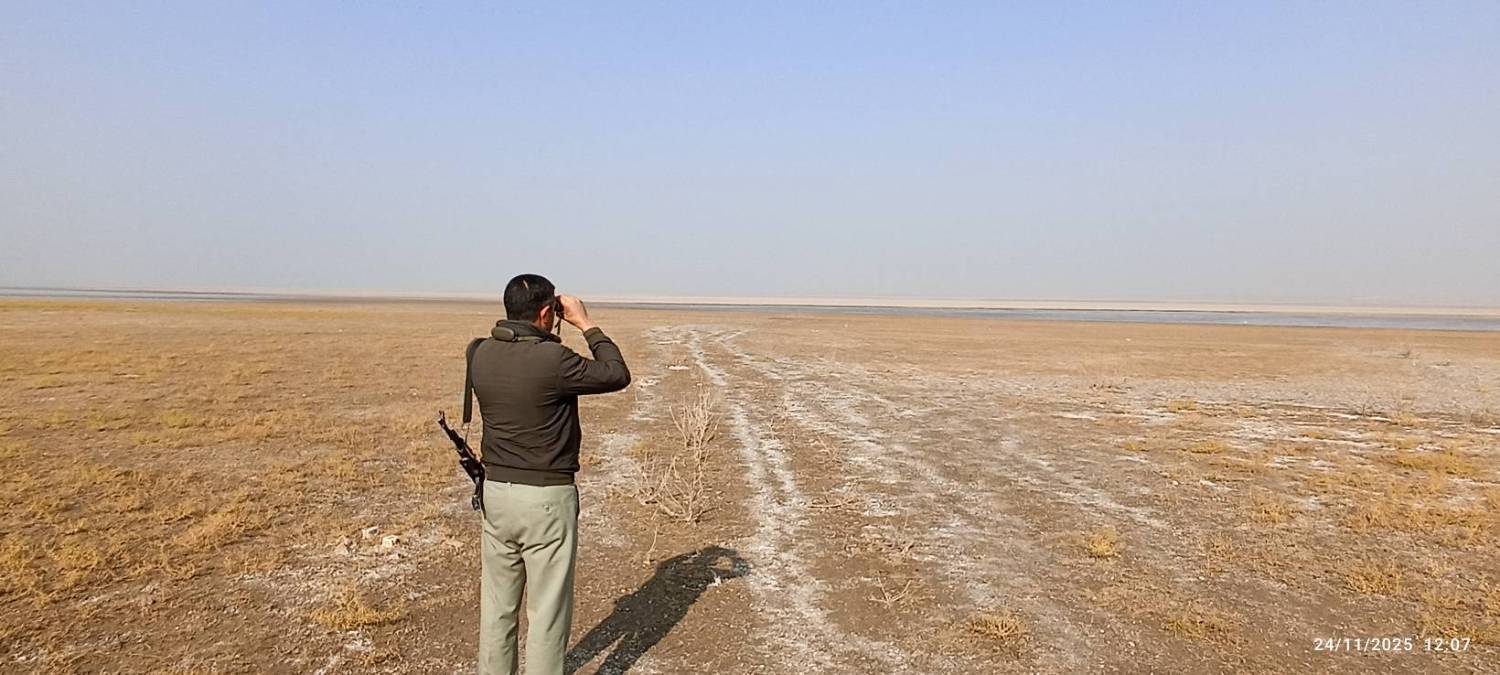 تشدید نظارت بر زیستگاه‌های آبی شهرستان پلدشت همزمان با مهاجرت زمستانی پرندگان