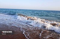 افزایش باد‌های شمال غربی در خلیج فارس، ۱ اردیبهشت