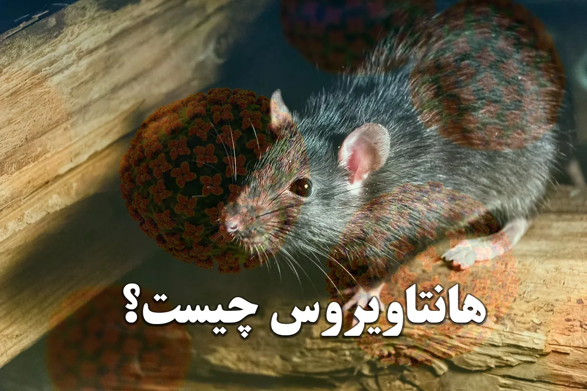 انتقال هانتاویروس از انسان به انسان نادر